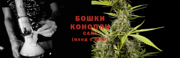 крисы Абдулино