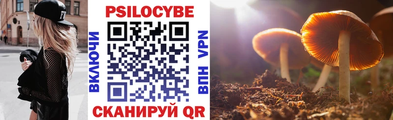 Псилоцибиновые грибы Psilocybine cubensis Луга